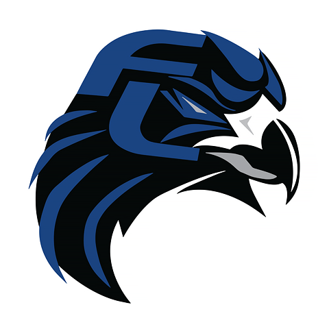 Falcons Football